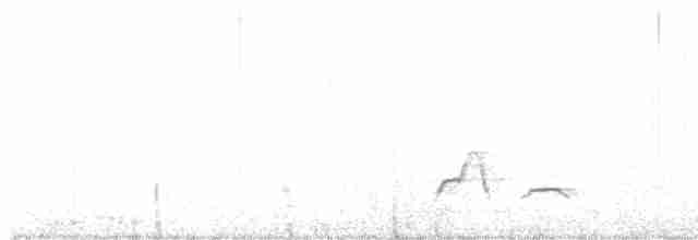 Tinamou huayco - ML478297301