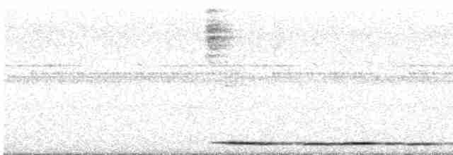 Tinamou noctivague (zabele) - ML478485381