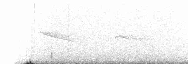 Серпокрилець-вилохвіст великий - ML478566641