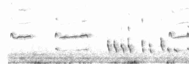Короткоклювый бекасовидный веретенник - ML478621971