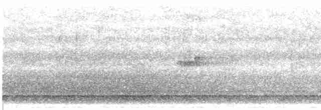オバシギ属（トウネンの種） - ML478710811