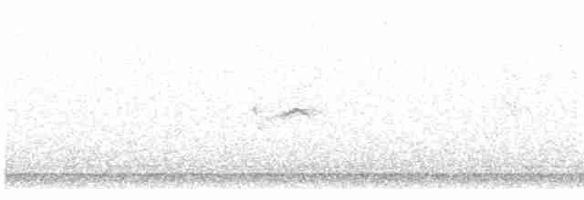 tanımsız küçük kumkuşu (Calidris sp.) - ML478714931
