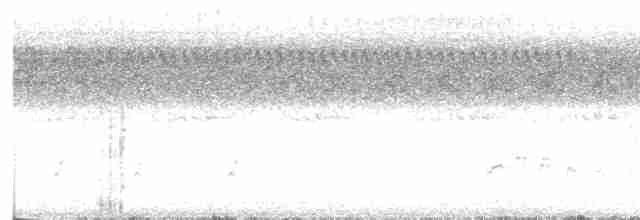 orel bělohlavý - ML478726441