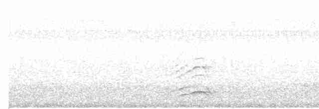 Malabar Gray Hornbill - ML478735641