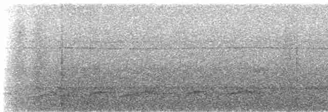 Lyre-tailed Nightjar - ML478740421