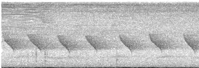 White-throated Shrike-Tanager - ML478761391