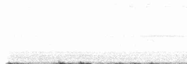 Common Tern - ML478791801