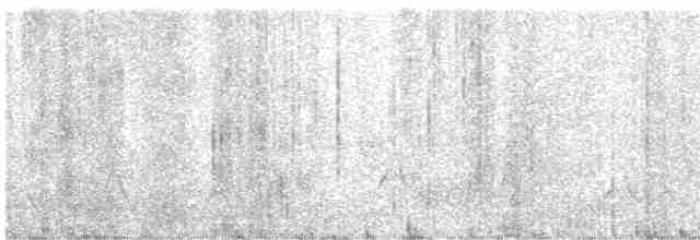 Lyre-tailed Nightjar - ML478824781