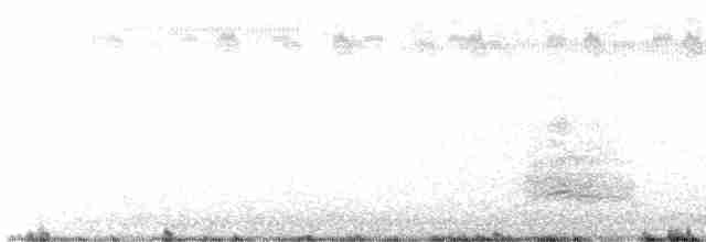 裏海燕鷗 - ML478865411