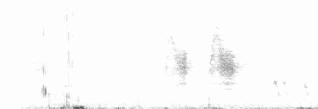 hvitnakkehonningeter - ML478867151