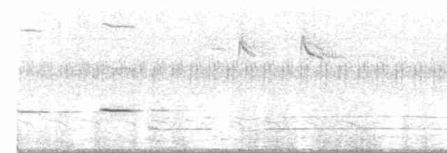 Striped Cuckoo - ML478878031