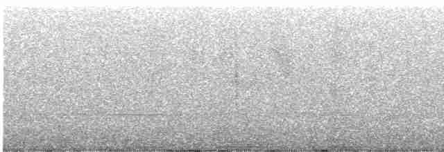Meisenhäher (obscurus/griseus) - ML478951121