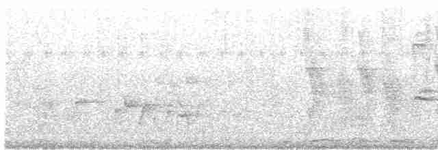 Camaroptère à tête grise (groupe brevicaudata) - ML478984431