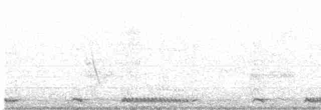 Ring-necked Dove - ML478993761