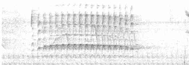 Длинноклювый улиткоед - ML479215291