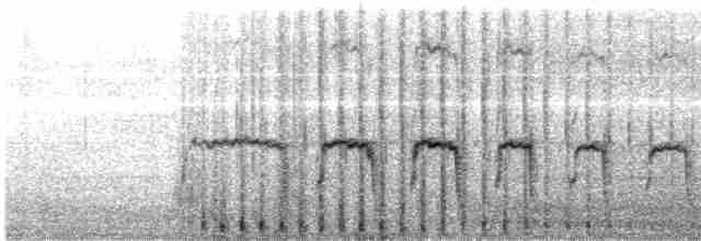 Ornate Tinamou - ML479255751