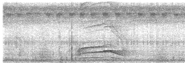 Гвианский скальный петушок - ML479284111