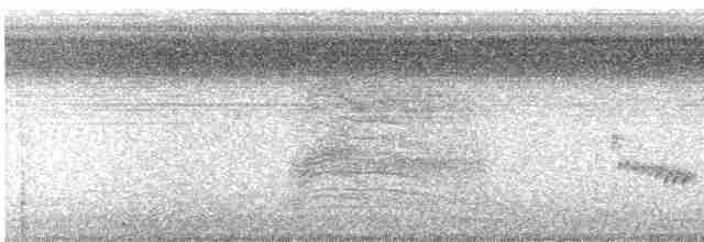 Поплітник каролінський - ML479329441