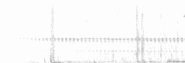 Bolivian Brushfinch - ML479378221