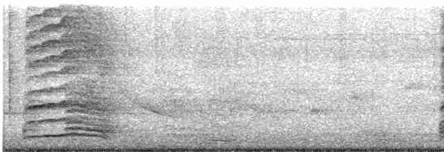 Snowy Egret - ML479385721