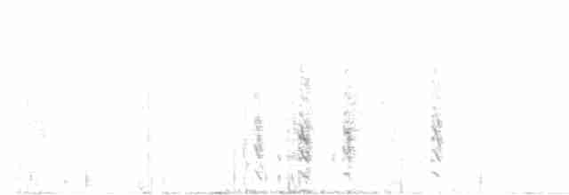 Magellanic Snipe - ML479507391