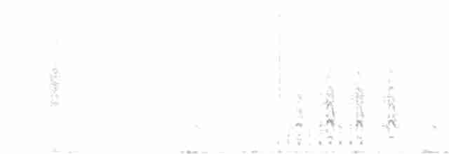 Magellanic Snipe - ML479512061