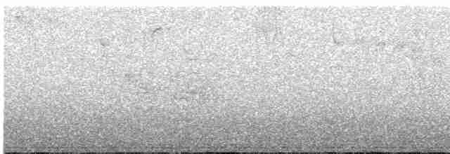 Gallo Oscuro - ML479539201