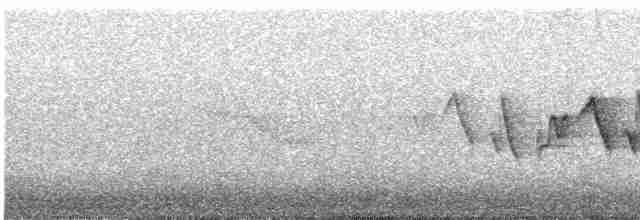 Common Yellowthroat - ML479575821