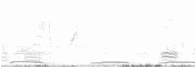 hrdlička kropenatá - ML479627911