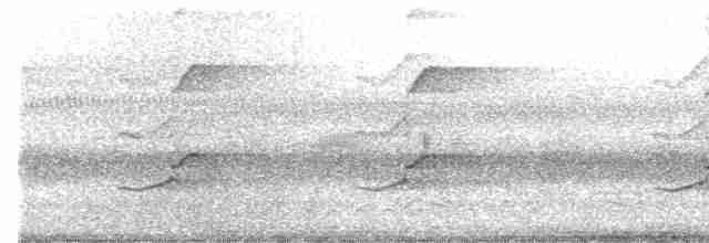 Яструб тасманійський - ML479630731