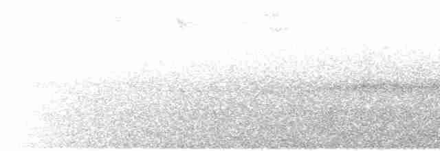 Podarge ocellé (plumiferus) - ML479634601