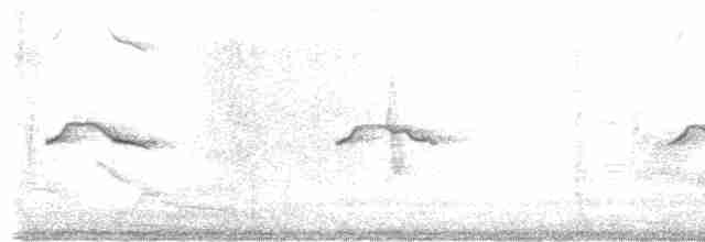 Mouette argentée (novaehollandiae/forsteri) - ML479641681
