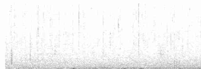 Black-throated Gray Warbler - ML479654831