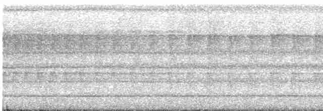 Белоухая сибия - ML479681301