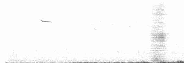 Колібрі строкаточубий - ML479774101