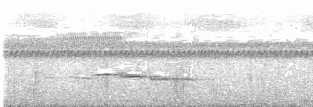 Серогорлая мухоловка - ML479864091