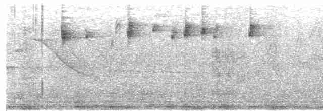 Alev Suratlı Tangara (parzudakii/urubambae) - ML479897351