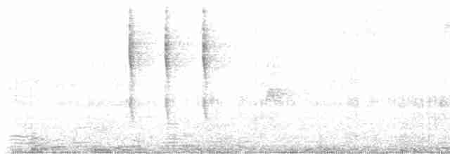 Troglodyte de Baird - ML480081221