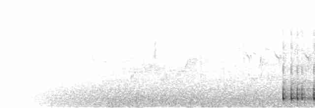 Красногрудый дятел-сокоед - ML480094381