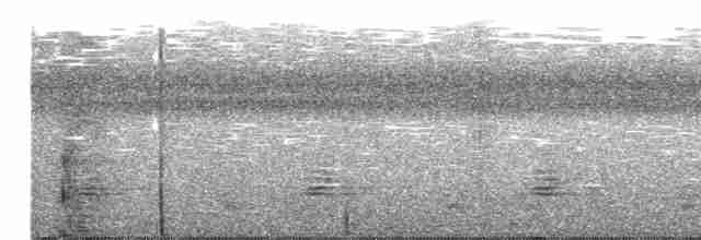Weißbürzel-Lappenschnäpper - ML480106331