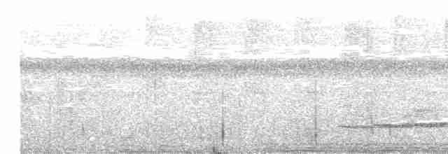Dusky Long-tailed Cuckoo - ML480111431