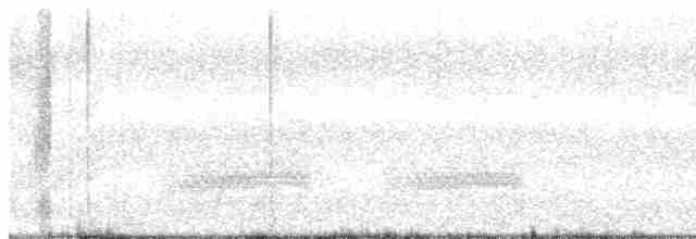 Kiefernhäher - ML480117531