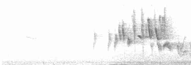 ナナスジホオジロ - ML480127791
