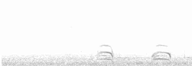 krkavec krátkoocasý - ML480128051