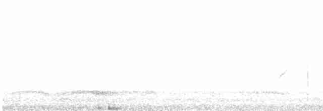 krkavec krátkoocasý - ML480128061