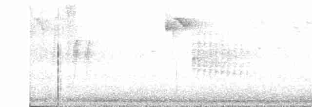 Grimpereau des bois - ML480131301