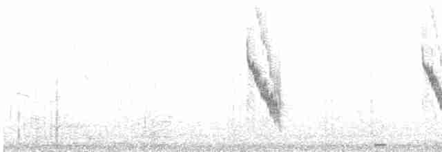 Mosquitero Oscuro - ML480133271