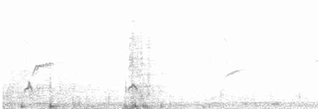 vlha pestrá - ML480135691