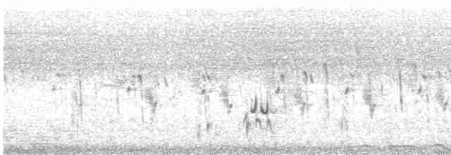 savannesølvnebb - ML480143021
