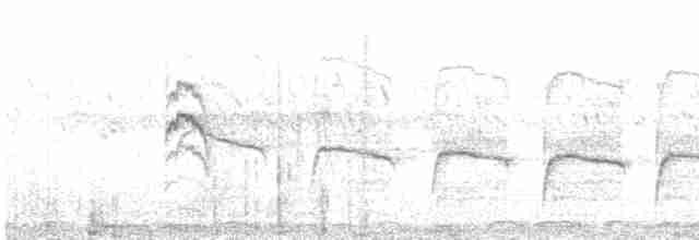 Ававийская дроздовка - ML480143061